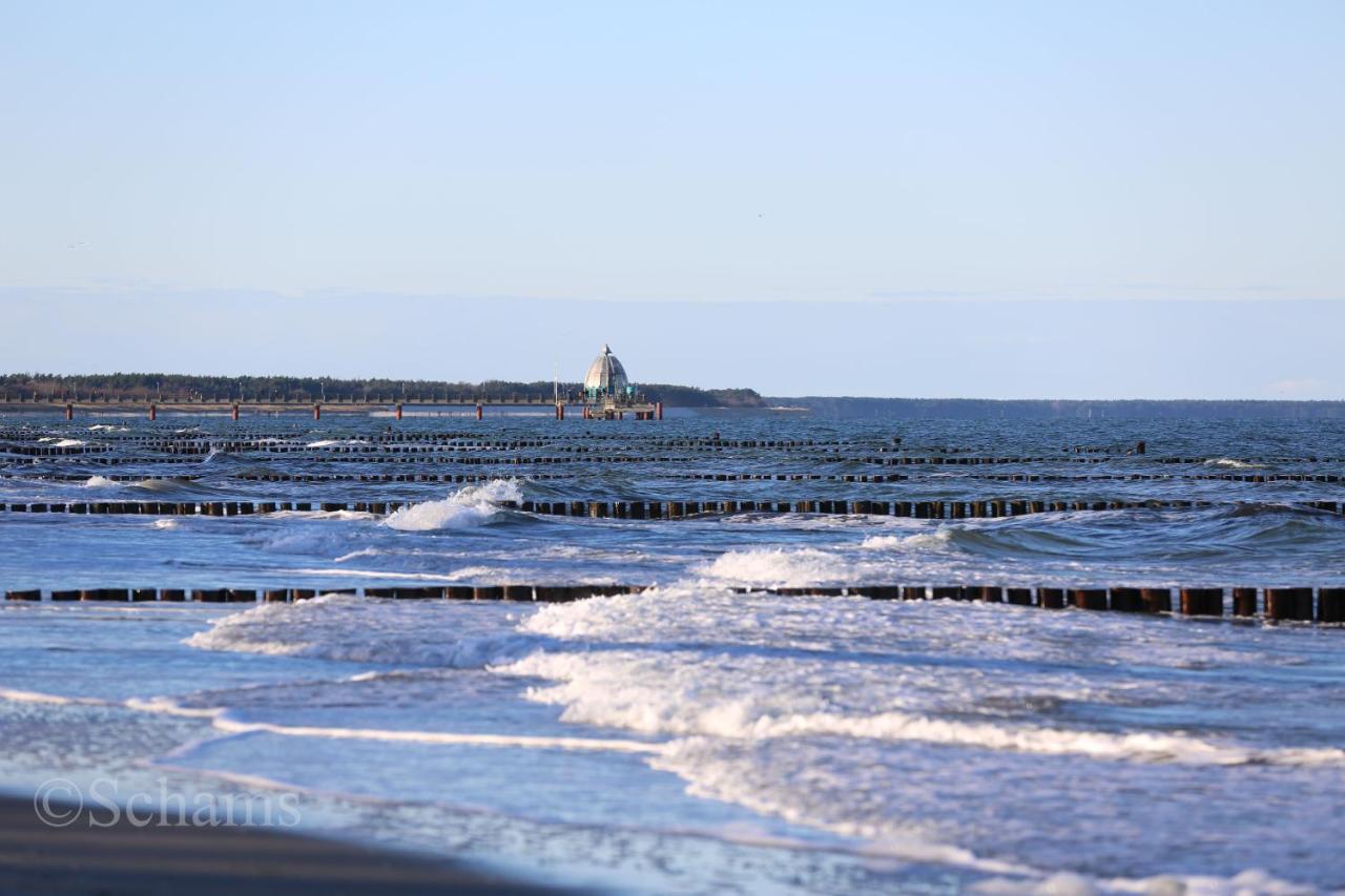 Ostseelagune Zingst, Exklusive Dhh, Strandnah, Sauna, Kamin, 3 Sz, 2 Baeder, Glasfaser, Haustierfrei, Garten Mit Suedterrasse, E-Ladesaeule, 2 Stellplaetze, Strandkorb, Fahrradschuppen, Waschmaschine, Trockner, Nichtraucher Exterior foto