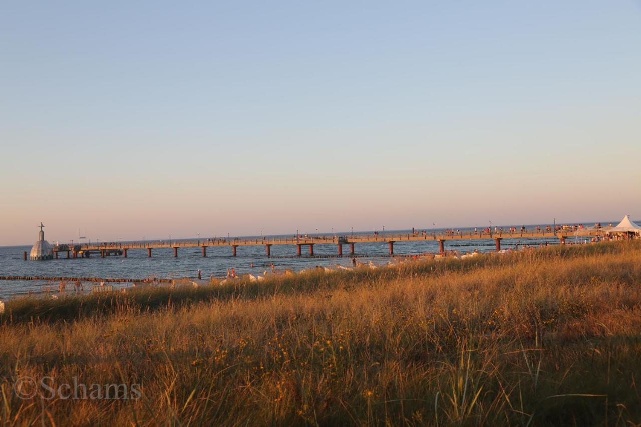 Ostseelagune Zingst, Exklusive Dhh, Strandnah, Sauna, Kamin, 3 Sz, 2 Baeder, Glasfaser, Haustierfrei, Garten Mit Suedterrasse, E-Ladesaeule, 2 Stellplaetze, Strandkorb, Fahrradschuppen, Waschmaschine, Trockner, Nichtraucher Exterior foto